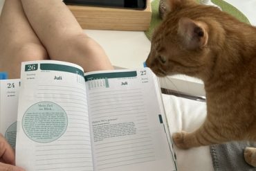 Warum kleine Erfolge glücklich machen – Jeder Schritt zählt Warum machen uns kleine Erfolge glücklich? Die Antwort ist einfach: Unser Gehirn belohnt uns dafür. Schon kleine Fortschritte können unsere Stimmung verbessern und uns motivieren, weiterzumachen.