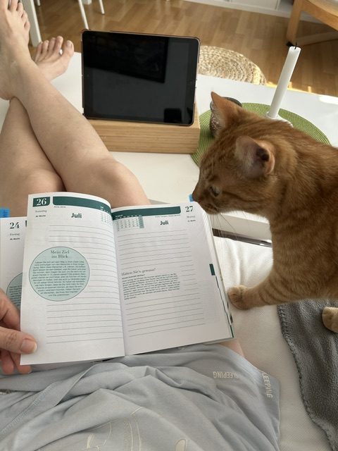 Innerer Frieden durch Meditation hilft mir, die "richtigen" Entscheidungen zu treffen. Dabei gibt es für mich nicht nur die Ratio, sondern auch das Bauchgefühl. Denn, wenn es sich nicht gut anfühlt, dann weiß ich, dass ich mich selbst belüge und in einem alten, destruktiven Muster stecke.